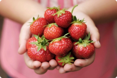 Fruitiers